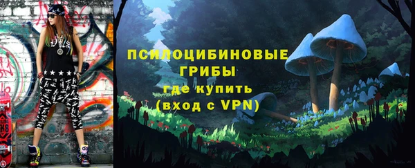 твердый Белокуриха