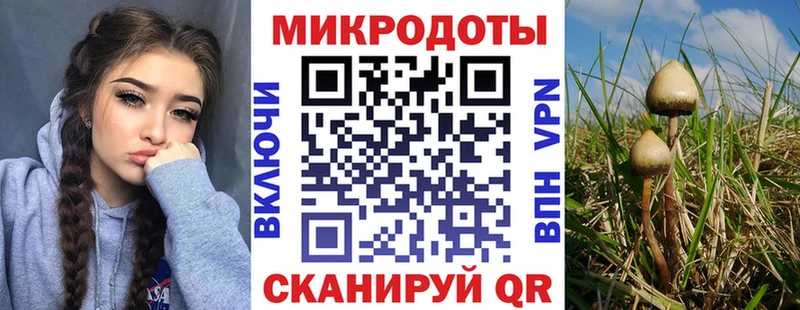 Галлюциногенные грибы GOLDEN TEACHER  МЕГА как зайти  Прокопьевск  закладки 